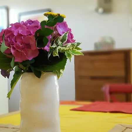 La Roseraie Oda ve Kahvaltı Sentheim