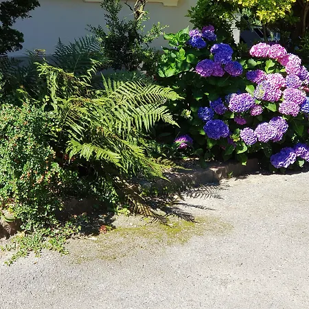 La Roseraie Alojamento de Acomodação e Pequeno-almoço