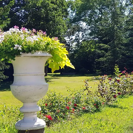 Oda ve Kahvaltı La Roseraie Sentheim